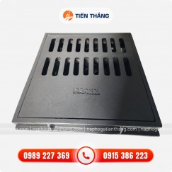 Thăm Thu Kết Hợp Composite